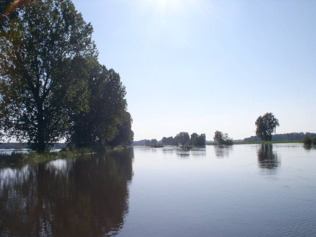 Hochwasser 2010