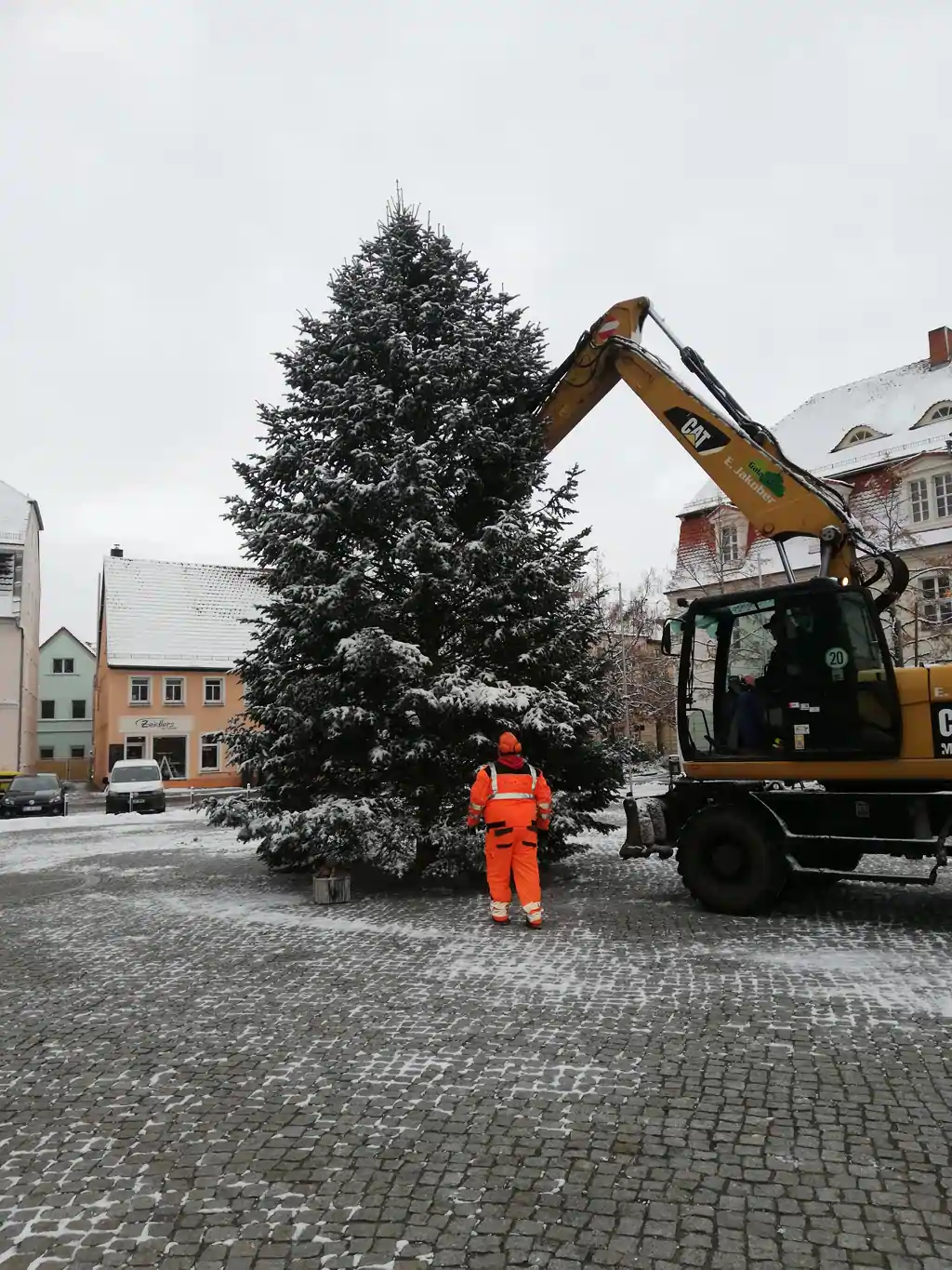 Weihnachtsbaum für den Marktplatz der Kurstadt aufgestellt
